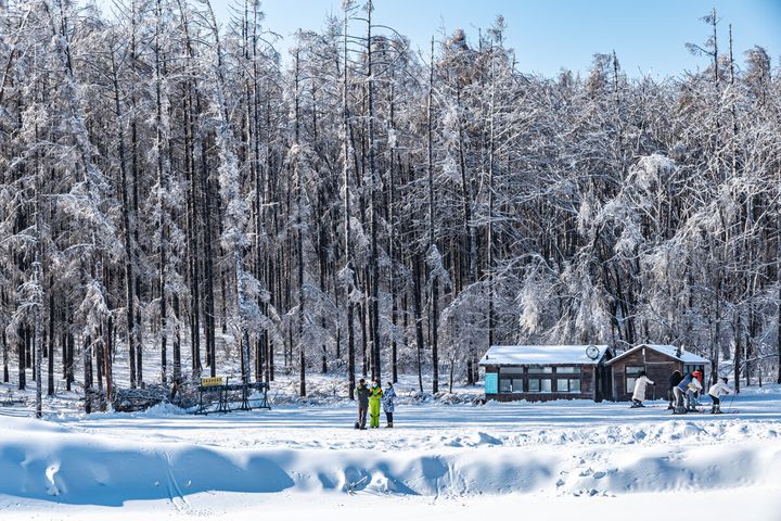 Top 10 Snowy Cities In China-changchun