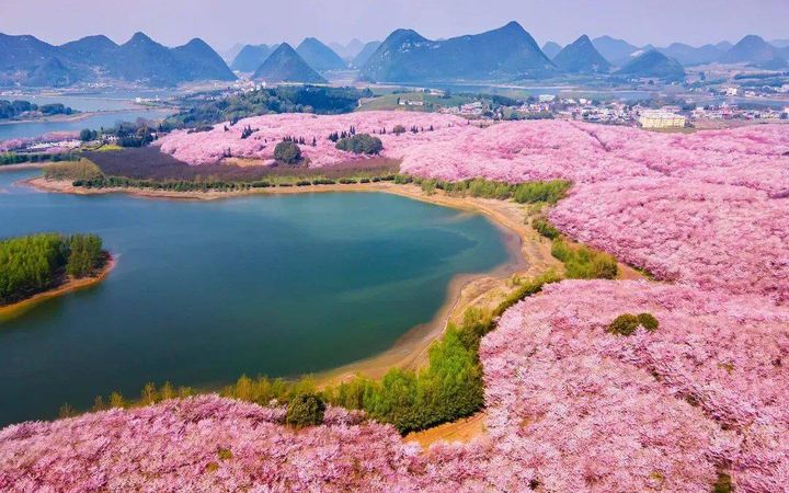 Top 10 Cherry Blossom Spots in China-pingba