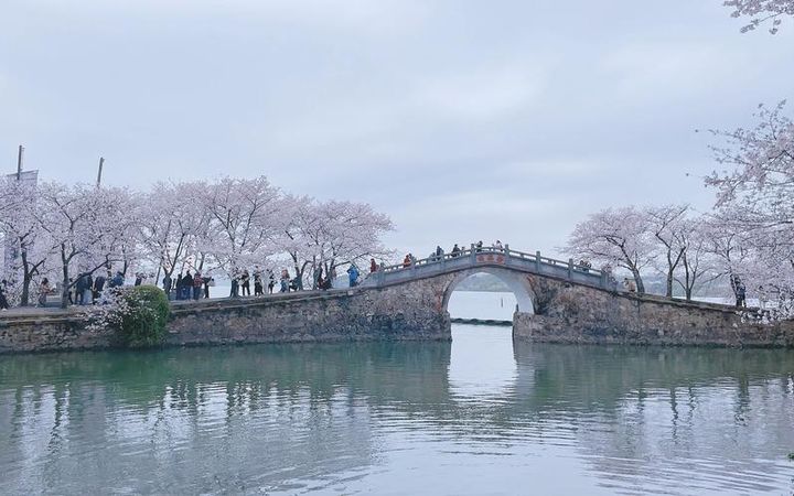 Top 10 Cherry Blossom Spots in China-yuantouzhu